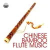 Capriccio for Chinese Flute