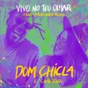 About Vivo No Teu Olhar-Remix Song