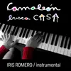 Camaleón Busca Casa-Instrumental