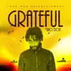 About Grateful Song