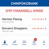 About Dyp Finansiell Krise Song