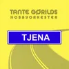 About Tjena Song