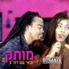 About מותק Song