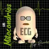 Electrocardiograma (Ecg)