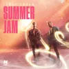 About Summer Jam Song