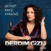 About Derdim Gizli Song