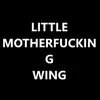 About Little Motherfucking Wing Song