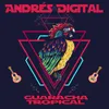 Minded Gipsy-Andrés Digital Remix