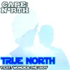 About True North (feat. Wonder the Boy) Song