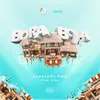 About Bora Bora Song