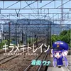 Kirameki Train