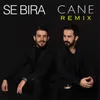 About Cane-Remix Song