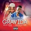 About A Santa Tá Grávida Song