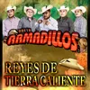 El Son del Armadillo