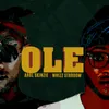 Ole-Radio Edit