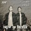 Now or Never-Radio Edit