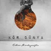 About Kör Dünya Song