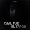 About Cual Fue el Error Song