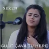 About Gule Çava Tu Here Song