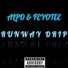 About Runway Drip Song