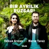 About Bir Ayrılık Rüzgarı Song