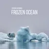 About Frozen Ocean Song