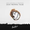 About Just Wanna Talk Song