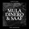 About Mula Dinero & Saaf Song