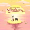 About Fantasias Song