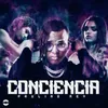 About Conciencia Song