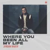 About Where You Been All My Life Song