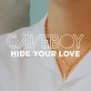 About Hide Your Love Song