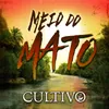 About Meio do Mato Song