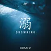 About Drowning Song