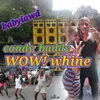 About Wow Whine Song