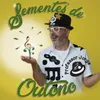 About Sementes de Outono (Remix) Song