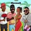 About Nzenza Remix Song