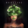 About Flowers-RudeLies Remix Song