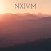 NXIVM III