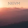 NXIVM IV