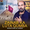 Qabar E Nabi Par Shah Boley