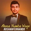 About Ahasa Numba Wage Song