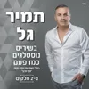 About הזיות שגעונות Song