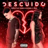 About Descuido Song