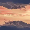 About Stronger Now Song