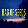 Bag of Seeds