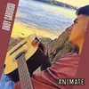 About Animate Song