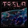 About T E S L A  (Remix) Song
