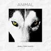 About Animal Song