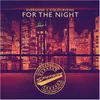 For the Night-Extended Mix